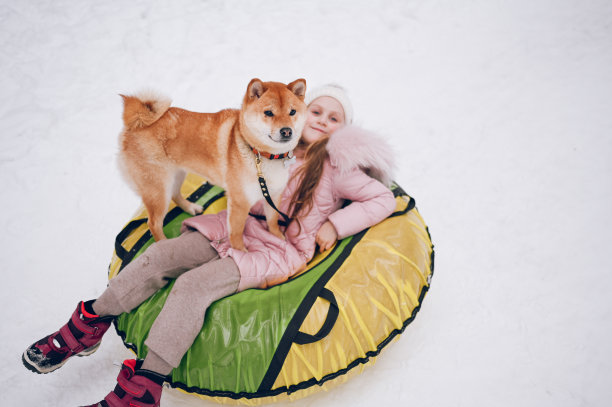 可爱的小女孩穿着粉红色的保暖外套，和红色的柴犬玩充气雪管，在雪白的冬季户外。家庭体育度假活动。图片下载