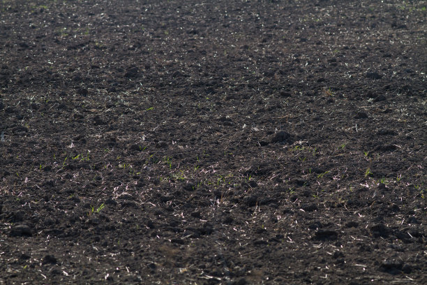 黑暗将土壤图片下载