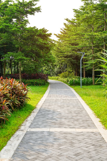 穿过花园的小路图片下载