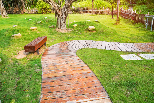 人行道在一个美丽的公园和树图片下载