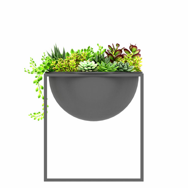 3d渲染的花在一个金属锅图片下载