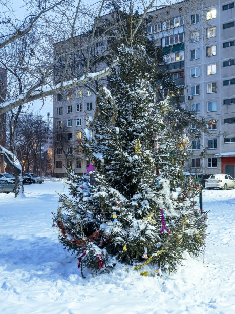 傍晚时分，装饰过的圣诞树在一座多层建筑的庭院里图片下载