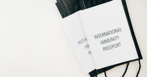 冠状病毒护照的概念，用于在世界各地旅行和移动图片下载