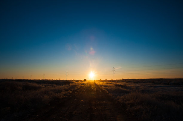 冬天的树在雪地里图片下载