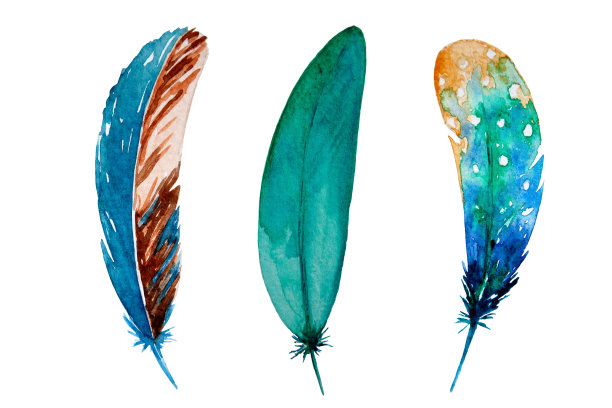 一套水彩蓝绿色羽毛在白色的背景。鸟的羽毛。色羽毛。图片下载