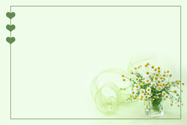 洋甘菊的安排图片下载