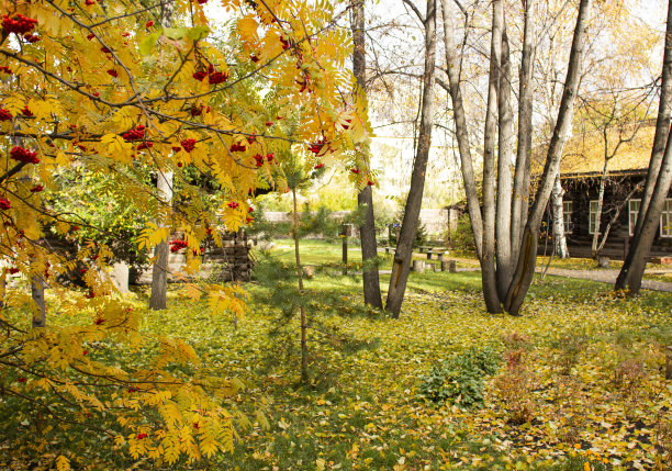 公园里有一个古老的庄园，秋高气扬。图片下载