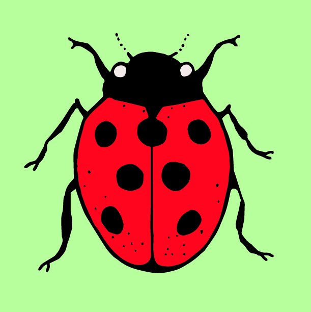 瓢虫，单色插图。绿色的背景图片下载