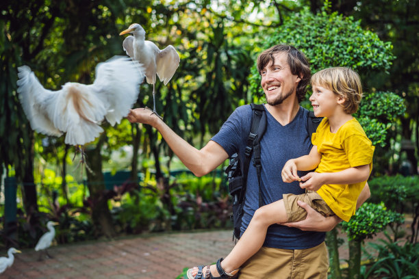 爸爸和儿子在公园里喂野狼。小白鹭牛白鹭朱鹮水边。家人一起在公园里度过时光图片下载