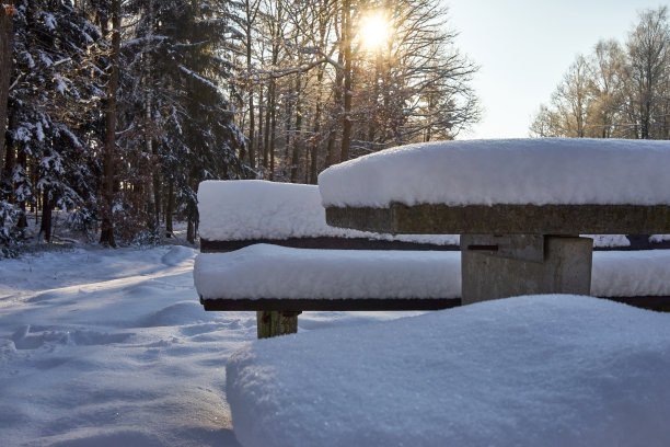 长凳和桌子在一个休息的地方，覆盖着新雪，与太阳的背光在树枝后面图片下载