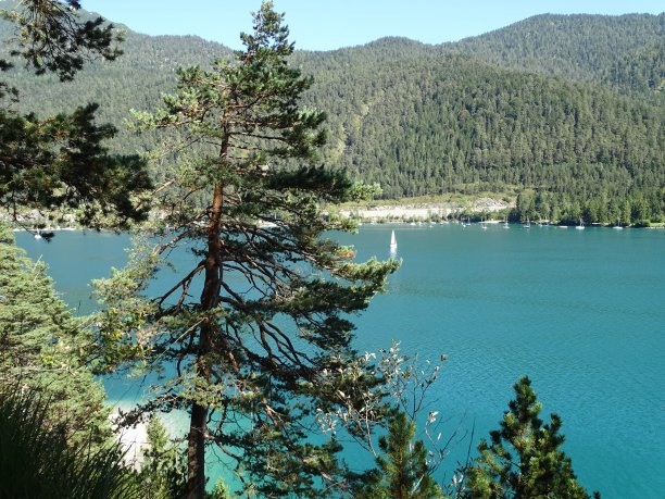 在奥地利蒂洛尔的施瓦兹和因斯布鲁克附近的卡温德尔的阿钦湖，以及巴伐利亚边境——佩蒂绍和阿钦基希之间的徒步小径，在夏天经过Gaisalm图片下载