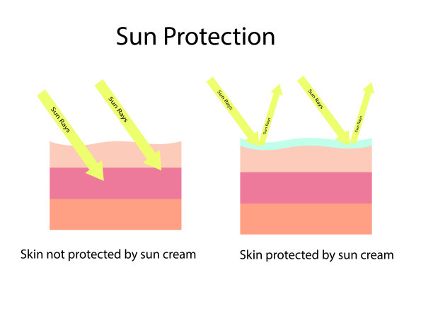 皮肤比较使用广谱防晒霜的皮肤可以保护UVA和UVB，而普通防晒霜不能保护UVA图片下载