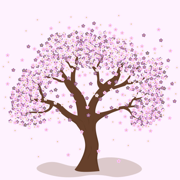 春天的樱桃树。杏、李子、樱桃。春天的花。繁荣的树。图片下载