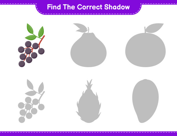 找到正确的阴影。找到并匹配接骨木的正确阴影。教育儿童游戏，可打印的工作表，矢量插图图片下载