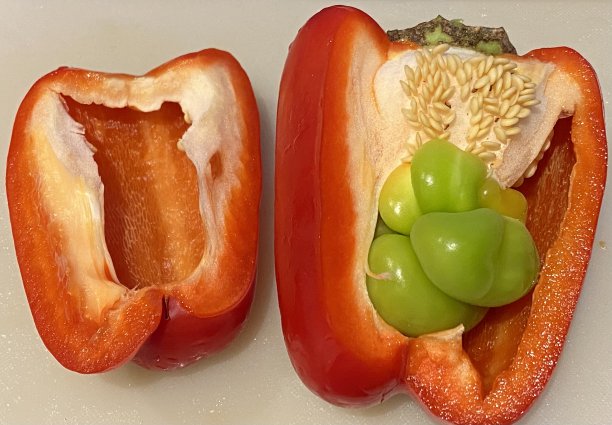 胡椒与婴儿图片下载