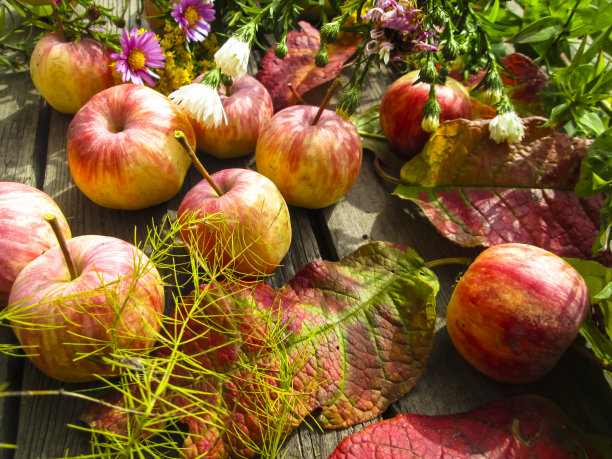 美丽的照片与苹果，红叶，金盏花和香草图片下载