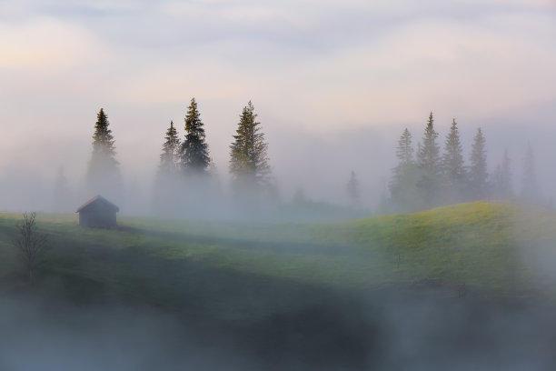 雾蒙蒙的森林。雄伟的春天。清晨的薄雾。有高山的景观。草坪上长满了绿草。喀尔巴阡公园的一个放松的地方。文本的空闲空间。图片下载
