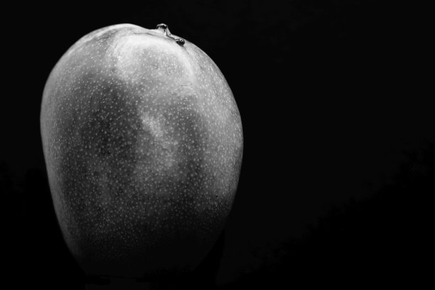芒果在黑色的背景-黑色和白色图片下载