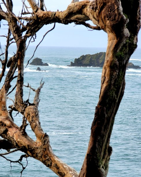 自然坐标系的海洋图片下载