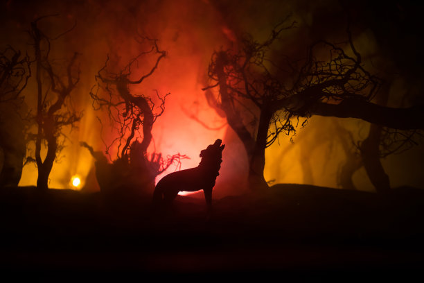 在满月和死林的地平线上，狼嚎的剪影。创意艺术品装饰。图片下载