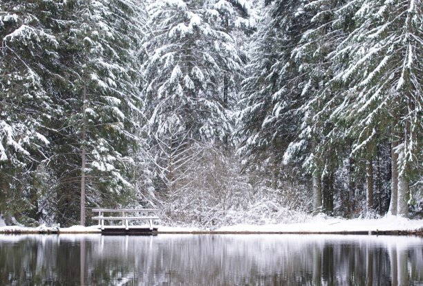 人行天桥进入冬季仙境图片下载