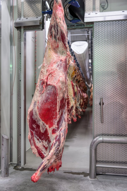 碎牛肉的尸体图片下载