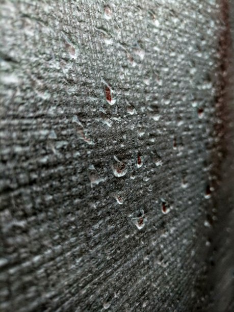 雨后的晨露图片下载