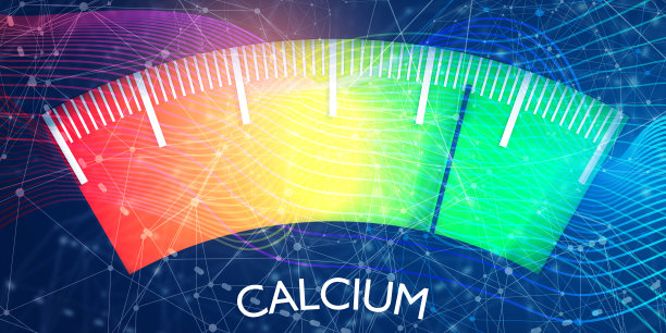 食物营养价值测量图片下载