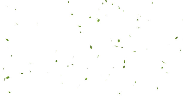 抽象的3D树叶从天空飘落图片下载