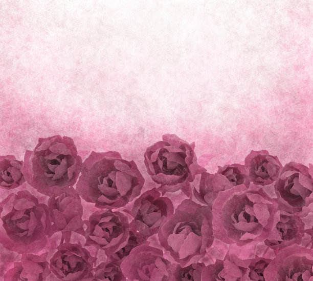垃圾水彩背景与玫瑰在粉红色和红色的阴影。浪漫的花丙烯酸插图图片下载