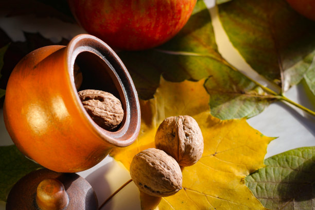 秋天的静物画。叶子，坚果，苹果和一个陶罐图片下载