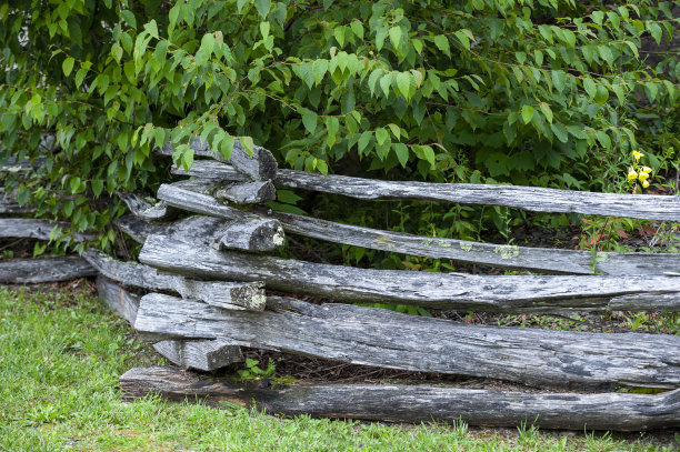 分隔栏杆围栏背景，许多树叶，质朴图片下载