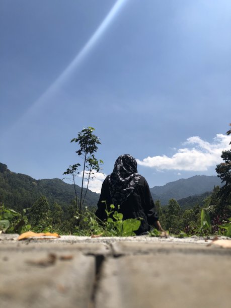 独自坐着图片下载