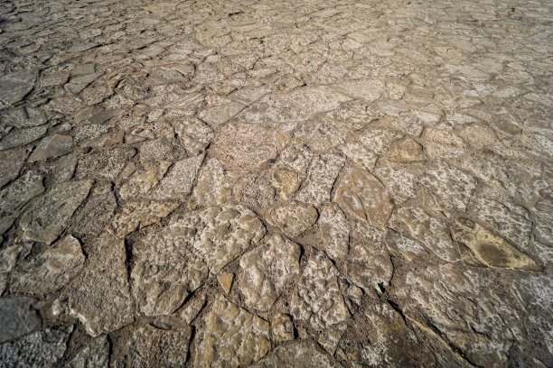 美丽的旧石路覆盖纹理图片下载