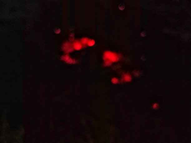 花园里的篝火模糊照片图片下载