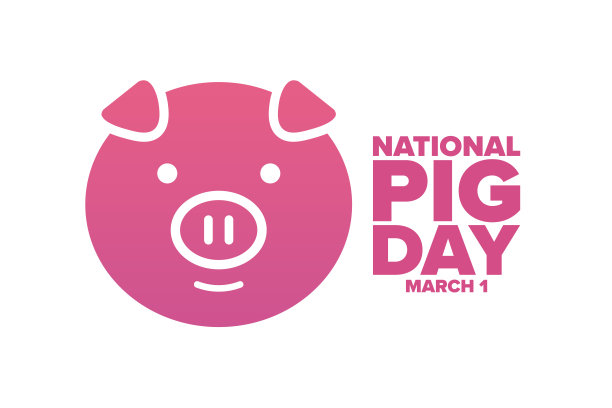 国家猪一天。3月1日。节日的概念。模板的背景，旗帜，卡片，海报与文字题词。向量EPS10插图。图片下载