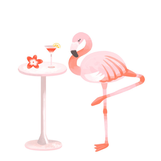 时尚的火烈鸟站在一只脚和热带酒吧形象Bulmeria图片下载