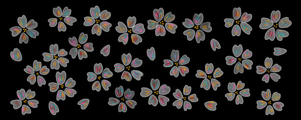 透明霓虹夜樱花横幅图片下载