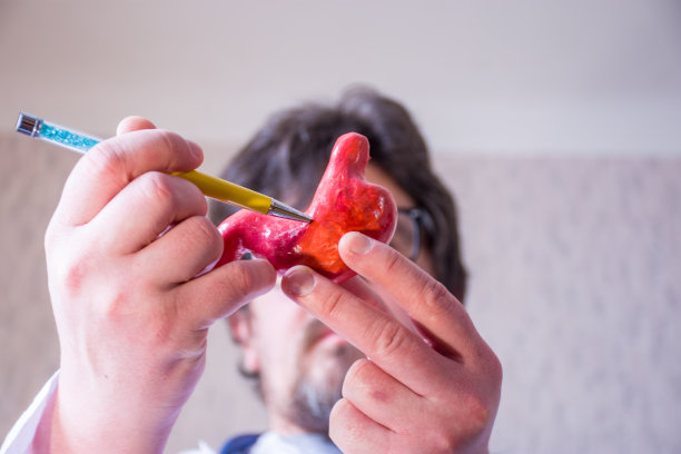医生在离焦背景上手持胃或胃的解剖模型，用手笔指着前景中的胃。该器官的局部病变，疾病或问题图片下载