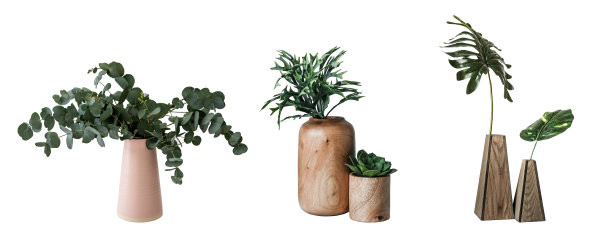 盆栽植物图片下载