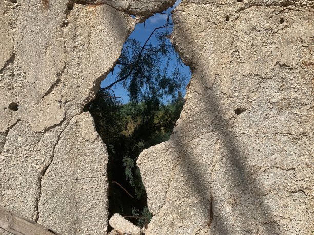 旧混凝土墙上的大洞。从被毁房屋的裂缝中看到活生生的世界。大自然通过废弃建筑的裂缝。毁了家庭。希望。图片下载