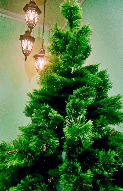 树和灯图片下载