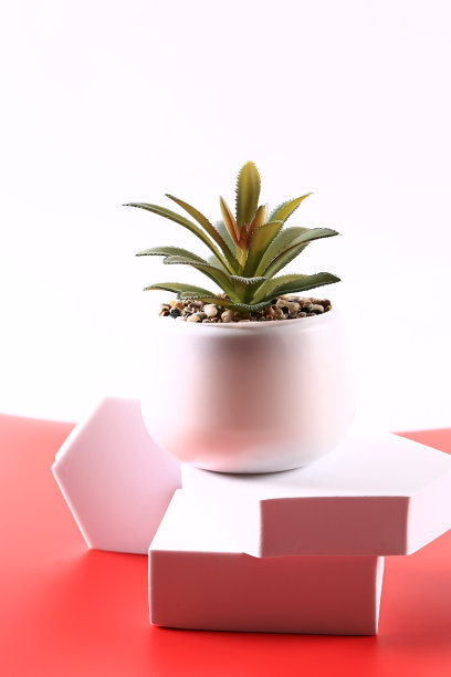 多汁的白色和红色的背景图片下载