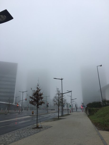 多雾的城市图片下载