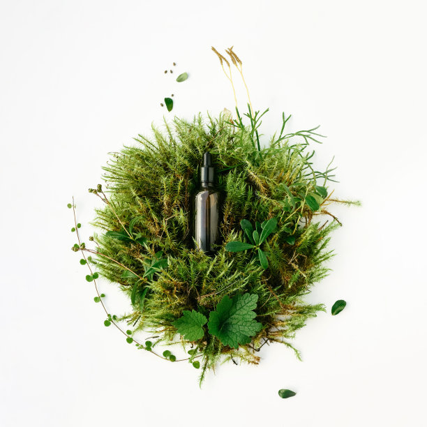 天然化妆品美丽的脸和身体的绿色背景植物图片下载