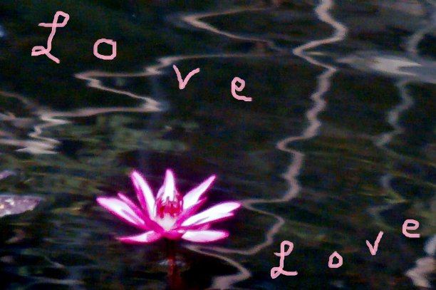 空气中弥漫着爱图片下载