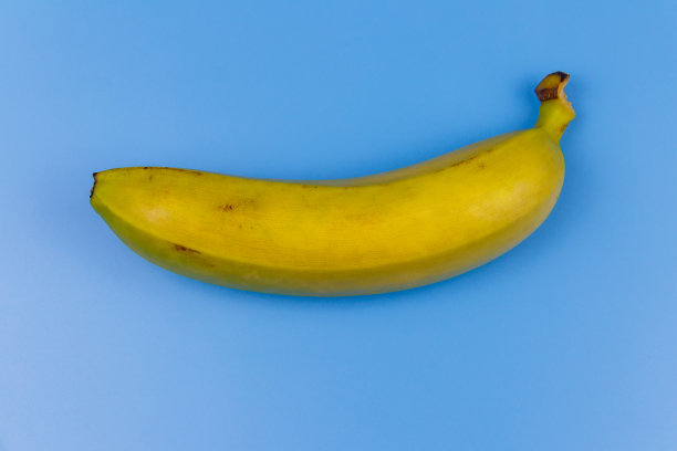 淡蓝色背景上的黄色香蕉。俯视图，平面铺设，最小的设计图片下载