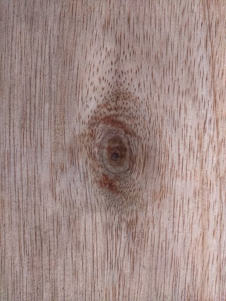 木头上的圆形抽象图案图片下载