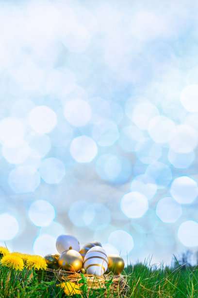 复活节兔子。金蛋与黄色的春花在庆祝篮子在绿色的草地背景。复活节快乐的概念。图片下载