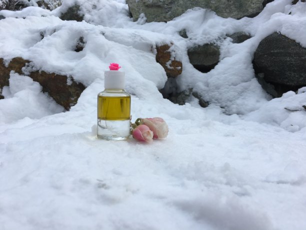 小瓶的所有天然玫瑰花瓣卸妆。DIY美容和水疗概念库存照片图片下载